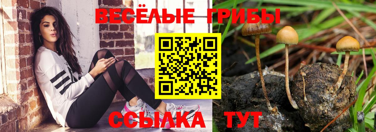 Галлюциногенные грибы мицелий  дарнет шоп  Псилоцибиновые грибы Psilocybine cubensis  Орёл  Вход с VPN 
