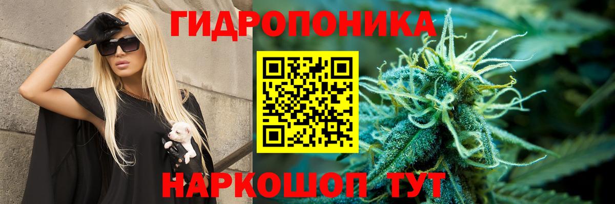 Конопля тримм  Вход с VPN  Конопля индика  Орёл  Марихуана планчик  Каннабис гибрид 